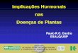 Implicações Hormonais nas Doenças de Plantas - Brasilbrasil.ipni.net/ipniweb/region/brasil.nsf... · os tecidos verdes por indução da síntese de clorofila, atrasando a senescência