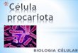 ADN y ARN no está limitado por membrana nuclear · de la cé u a procariota citoplasma ucleoi cåpsu pare celular mem rana plas ribosom flagelo