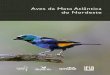 Livreto Aves da Mata Atlantica - SAVE Brasil · Sociedade para a Conservação das Aves do Brasil – Rua Fernão Dias, 219, Cj. 2, Pinheiros 05427-010 – São Paulo,SP – Brasil