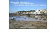 Guia da Fauna e Flora do Intertidal JOÃO SENDÃO ...rcastilho.pt/DA/Bibliografia_files/Guia_Olhos de_Água.pdf · Universidade do Algarve. INTRODUÇÃO: A . Praia de Olhos de Água