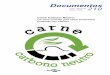 Documentos 210 · Documentos 210 Carne Carbono Neutro: um novo conceito para carne sustentável produzida nos trópicos Embrapa Brasília, DF 2015 Empresa Brasileira de Pesquisa 