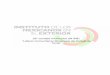 23ª Jornada Informativa del IME “Líderes Comunitarios ... · CEMEX- Construmex; Hipotecaria Nacional y la Fundación para la ... Sesión de preguntas y respuestas 14:30 – 15:00