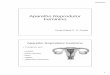 aparelho reprodutor feminino · forma de uma pera invertida As artérias uterinas são responsáveis pela nutrição sanguínea nessa região . 31/08/2015 6 Vagina Serve como passagem