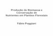 Produção de Biomassa e Conservação de Nutrientes em ... de biomassa e... · Ciclo dos nutrientes minerais em florestas CICLO BIOGEOQUÍMICOCICLO BIOGEQUÍMICO CICLO GEOQUÍMICOCICLO