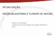 ATUALIZAÇÃO NEUROBLASTOMA E TUMOR DE WILMS · Nature Reviews - Cancer; 2003;3:203-16 Alterações estruturais . Amplificação do N-myc em neuroblastomas Com amplificação de N-myc