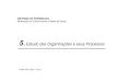 Estudo das Organizações e seus Processosjmoreira/ · [Rummler & Brache 1995] 5. 8 Vista sistémica (horizontal) de uma organização Investigação Desenvolvimento de Produtos Linha
