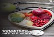 COLESTEROL, MITOS E VERDADES - .o colesterol e alimentos com colesterol causam problemas card­acos
