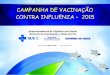 CAMPANHA DE VACINAÇÃO CONTRA INFLUENZA – 2015 · Reações anafiláticas (hipersensibilidade tipo I) ... Slide 1 Author: Casa Brasil Created Date: 4/17/2015 11:10:07 AM 