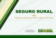 SEGURO RURAL - agricultura.gov.br · O produtor deve procurar uma corretora que opere com uma das seguradoras habilitadas pelo MAPA para formalizar a apólice de seguro rural. 