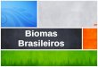 Biomas Brasileiros - Colégio São Paulo Irmãs Angélicas. priscila/6_ano... · • Sete tipos de cactos e de bromélias são endêmicos (que não ... biomas do planeta que exigem