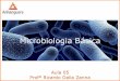 Microbiologia Básica · Evolução Microbiana Agentes antimicrobianos e antibióticos o Controle de crescimento (reprodução) de microrganismos. o Combate de doenças bacterianas