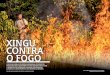 Xingu Contra · cava no Posto Leonardo e fez um fogareiro para assar peixe. o certo é que o fogo “escapou ... Ao reduzir a área proposta para o parque, em ... omo uma pessoa com