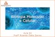 Biologia Molecular e Celular · Teoria celular oTodo ser vivo é ... Os ribossomos são também responsáveis pela respiração celular. Exercícios Exercícios adicionais 3. 