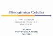 Bioqu­mica Celular - .respira§£o celular ... quantidade na parede celular de c©lulas vegetais