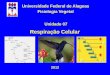 Universidade Federal de Alagoas Fisiologia Vegetal Unidade 07 · UNIDADE VII – RESPIRAÇÃO 1 ... respiração celular . UDP-glicose ... Slide 1 Author: José Vieira Created Date: