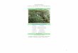 Tamarindus - cuiabá, mato grosso, plantas, cerrado ... · Controle de ervas deve ser feito, periodicamente, com capinas em ... 3.1.1 - Áreas de propagação e tratamento das estacas