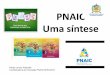 PNAIC Uma síntese - pnaic.ufsc.brpnaic.ufsc.br/files/2017/08/PNAIC-HISTÓRICO-E-PROPOSTA-ATUAL.pdf · 2013 – Implantação do PNAIC – maior programa de formação continuada