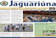 aguariúna I O DO M DE J - Prefeitura Municipal de Jaguariúna · 01 de Abril de 2015 Ano 3 Edição 95 ... Arrastão da dengue recolhe 8 toneladas de bagulhos no ˜nal de semana