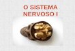 O SISTEMA NERVOSO I - marillac.g12.brmarillac.g12.br/downloads/download_materias/ensino_medio/2_EM... · nervoso e hormonal. • A coordenação nervosa envolve a participação de