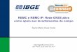 RBMC e RBMC-IP: Rede GNSS ativa como apoio aos ... · Pelotas (RS) Tefé (AM) ... Resultados de precisão centimétrica podem ser obtidos em soluções fixas (distâncias até 30