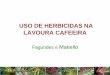 USO DE HERBICIDAS NA LAVOURA CAFEEIRA - Fundação … · • Capina, seguida de herbicida de pré-emergência na linha (mais usado em café novo) ... Verdict com clorimuron na linha,