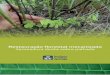 Restauração florestal mecanizada Semeadura direta sobre ... · mento convencional com mudas nativas pode chegar a 16 mil reais ... da utilização do método de restauro florestal