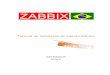 JOÃO PESSOA-PB OUT/2010 - zabbixbrasil.org · mostrado como instalar o Servidor Zabbix no Ubuntu Server. A instalação do ... no Windows XP, Windows 7, Windows 2003 Server e Windows