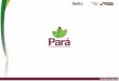 O Programa, desenvolvido pelo Governo do Pará por meio da ...setur.pa.gov.br/sites/default/files/pdf/prodetur.pdf · O Programa, desenvolvido pelo Governo do Pará por meio da Paratur