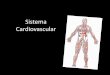 Sistema Cardiovascular - colegiosantarosa-pa.com.brcolegiosantarosa-pa.com.br/material_do_professor/andreia_almeida/8... · •Transporte de gases dos pulmões aos tecidos e dos tecidos