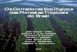Os Corredores Ecológicos das Florestas Tropicais do Brasil · Folha de rosto da versão original 11 ... modificação do desenho do Corredor dos Ecótonos da Amazônia, ... Ao receber