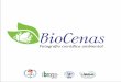 Introdução - Início · Introdução BioCenas 1 ... caracterizam os Biomas e seus ecossistemas, assim como as suas respectivas ... aos mais complexos. BioCenas