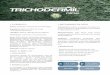 O PRODUTO • MECANISMOS DE AÇÃO - Koppert Brasilkoppert.com.br/assets/fichas/trichodermil.pdf · Podridão cinzenta do caule (Macrophomina phaseolina), ... - Redução do inóculo