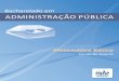 ADMINISTRAÇÃO PÚBLICA · presidÊncia da repÚblica ministÉrio da educaÇÃo coordenaÇÃo de aperfeiÇoamento de pessoal de nÍvel superior – capes diretoria de educaÇÃo