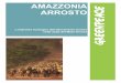 AMAZZONIA - greenpeace.org · e o Mapa de Vegetação do Brasil, em ... Brasília: Banco Mundial, 2003. 100p. ... (INPE). Available at: 