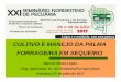 CULTIVO E MANEJO DA PALMA FORRAGEIRA EM SEQUEIROpecnordestefaec.org.br/2017/wp-content/uploads/2017/07/Palestra... · Baixo teor de matéria seca; ... MATÉRIA ORGÂNICA EXERCE NO