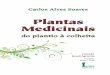 Plantas Medicinais MIOLO - iconeeditora.com.br Medicinais.pdf · plantas medicinais, elaboro este livro que servirá de fonte de consulta para os interessados no assunto. Sei que