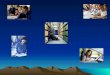 [PPT]Slide 1 - Infonet Notícias de Sergipe - Sua internet … · Web viewTitle Slide 1 Author Escola Superior do Ministério Público Last modified by. Created Date 4/11/2003 2:14:57