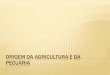 Origem da Agricultura e da Pecuária - Professor Bruno · Com a urbanização e a industrialização, a ... Brasileira de Pesquisas Agropecuárias -, ... número de colheitas por