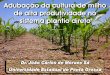 Adubação da cultura de milho de alta produtividade no ...brasil.ipni.net/ipniweb/region/brasil.nsf... · Fatôres da produção F = Clima, solo, práticas de manejo, enfermidades,