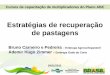 Estratégias de recuperação de pastagens - Sistema · PDF fileEstratégias de recuperação de pastagens Bruno Carneiro e Pedreira ... assegurar a formação de uma pastagem uniforme,