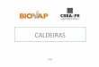 BIOVAP CALDEIRAS [Somente leitura] - CREA-PE | Conselho Regional de ... · Nossa História e área de atuação:-Fundada em 1972;-Fornecimento, instalação, manutenção e inspeção