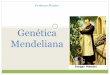 Genética Mendeliana - Professor Fláudio (ATUALIZANDO · Quem determina o sexo do filho é o homem, pois, possui cromossomos diferentes X e Y e a mulher só pode entrar com o X