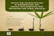 GUIA DE PLÂNTULAS E SEMENTES DA MATA ATLÂNTICA ... …ipef.br/publicacoes/guiaplantulas/guia_plantulas.pdf · ... quer para o reconhecimento ... programas de recuperação e manejo