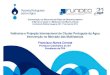 Valências e Projeção Internacional do Cluster Português da ... · Fonte: Estudo no âmbito do Projeto ÁguaGloball √ Membro da PPA. Agenda 2 Principais instituições financeiras