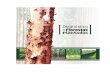 Diagnóstico de Florestas Plantadas do Estado de Mato Grossoimea.com.br/upload/Relatorio_final_floresta_plantada.pdf · Diagnóstico de Florestas Plantadas do Estado de Mato Grosso