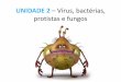 UNIDADE 2 – Vírus, bactérias, protistas e fungos° ANO - UNIDADE 2... · Características dos vírus –pág. 46 •Os vírus não são formados por células, não ... produzem