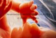 Desenvolvimento Embrionário e o Início da Vida · “Antes que eu te formasse no ventre materno, eu te conheci, e antes que saísses da madre, te consagrei, e te constituí profeta