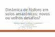 Dinâmica de fósforo em solos amazônicos: novos ou ... · Reorganização do sistema de pesquisa agropecuária brasileiro ... Menor tamanho das hifas de micorrizas. O conhecimento