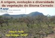 A origem, evolução e diversidade da vegetação ... - FAPESPfapesp.br/eventos/2013/05/Biota/Vania.pdf · O que é o Cerrado? conceito florístico. Vegetação não florestal do