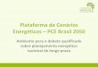 Plataforma de Cenários Energéticos – PCE Brasil 2050 · conversão do combustível – renováveis com 100%) 5.Fator de Carga – Fixos ao longo do período, definidos com 
